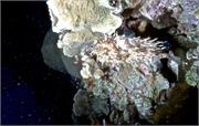 Bonaire 27